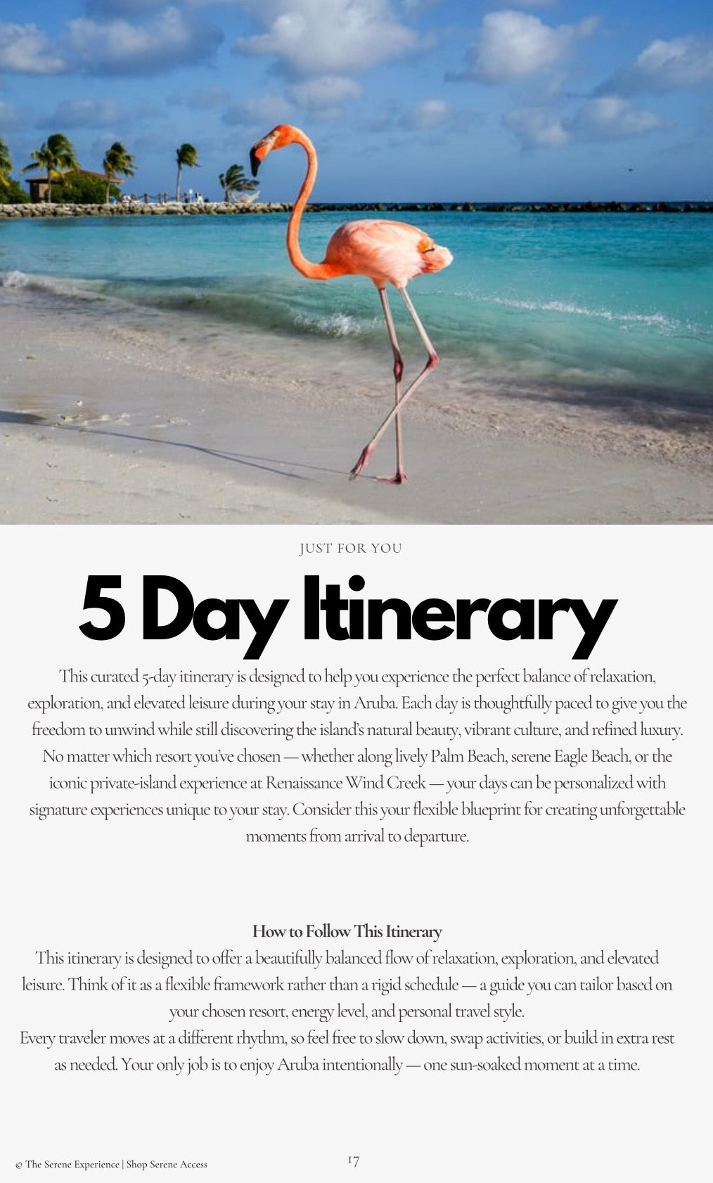 Aruba Travel Guide, Itinerary + 6 Accommodation Recommendations/Digital Download